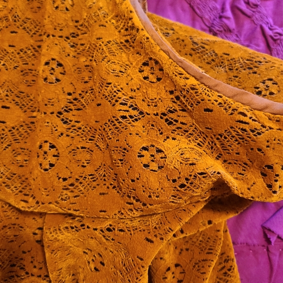 Anthropologie Maeve velvet Amis dress, size 16 - Picture 5 of 5